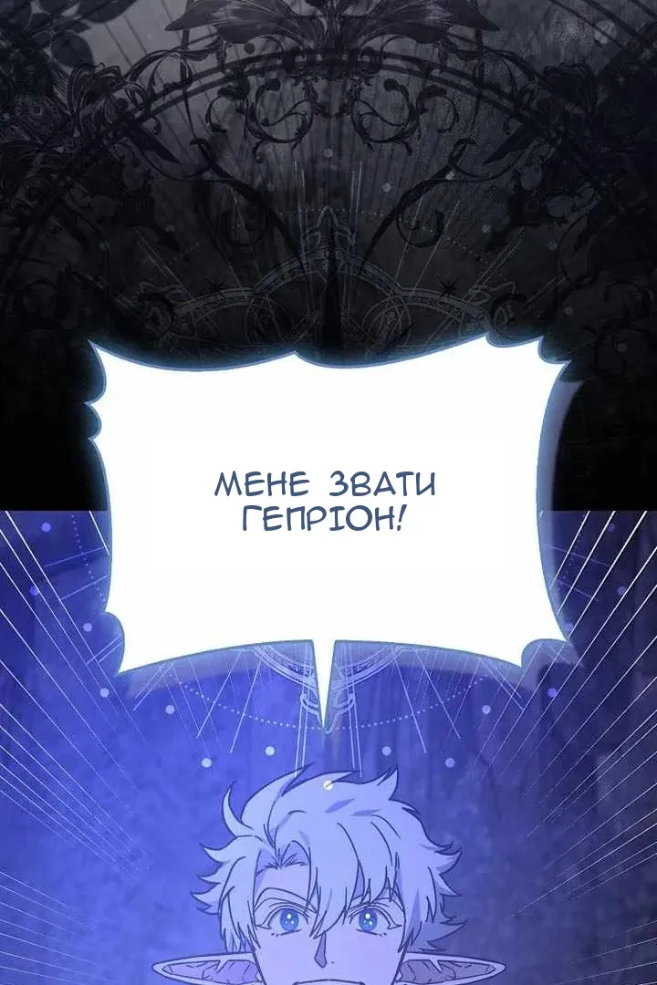Сторінка 29