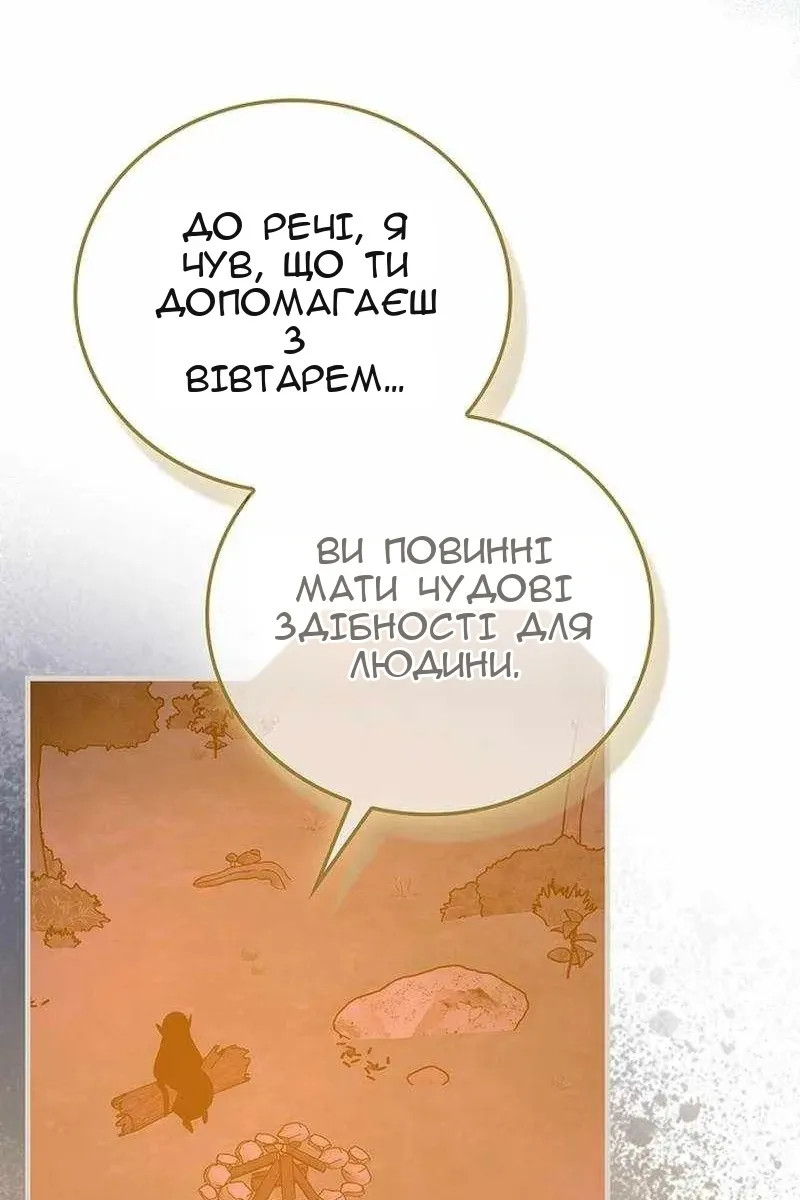 Сторінка 41