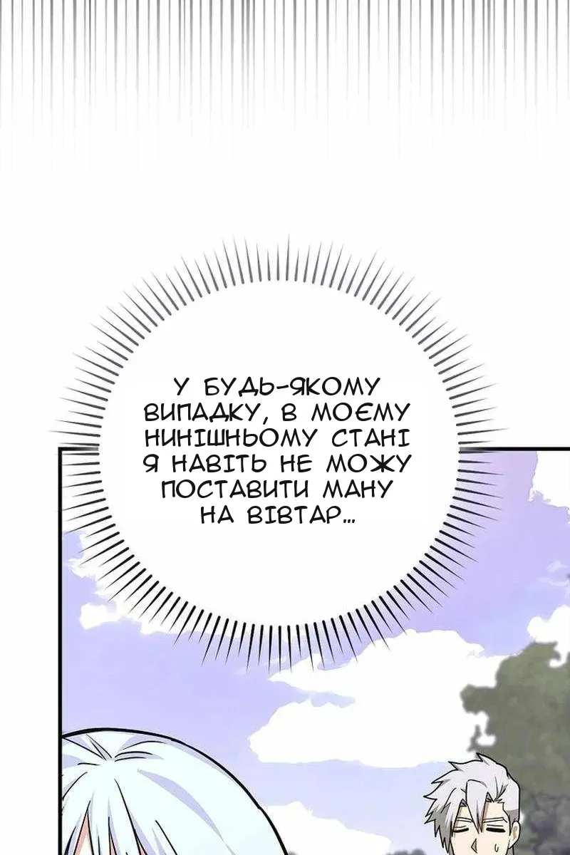 Сторінка 17