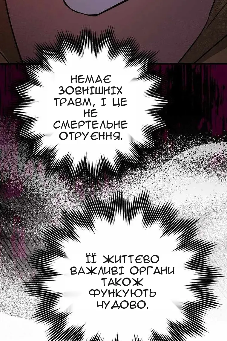 Сторінка 13