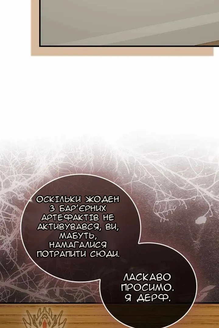 Сторінка 71