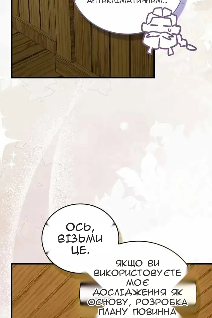 Сторінка 41
