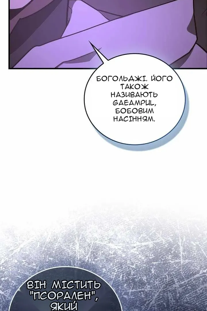 Сторінка 33