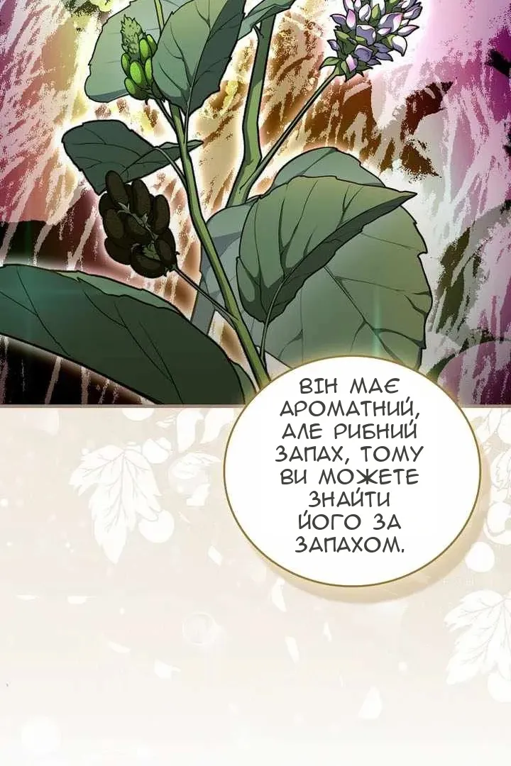 Сторінка 37