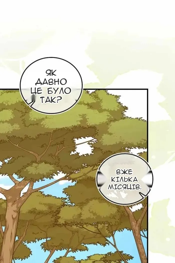 Сторінка 15