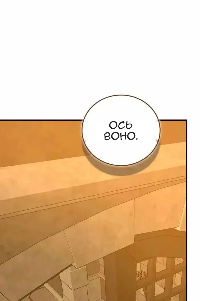 Сторінка 71