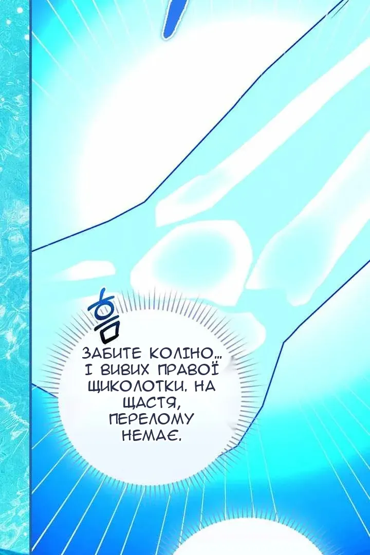 Сторінка 31
