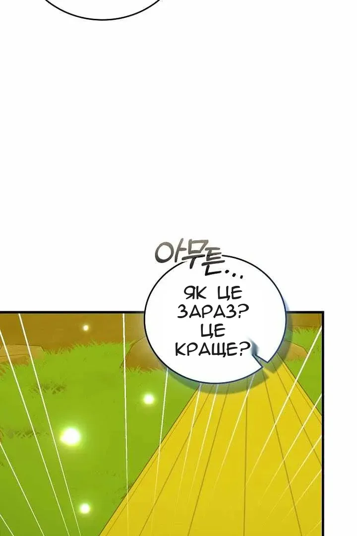 Сторінка 40
