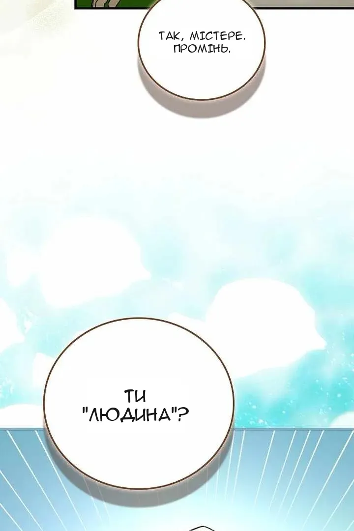 Сторінка 81