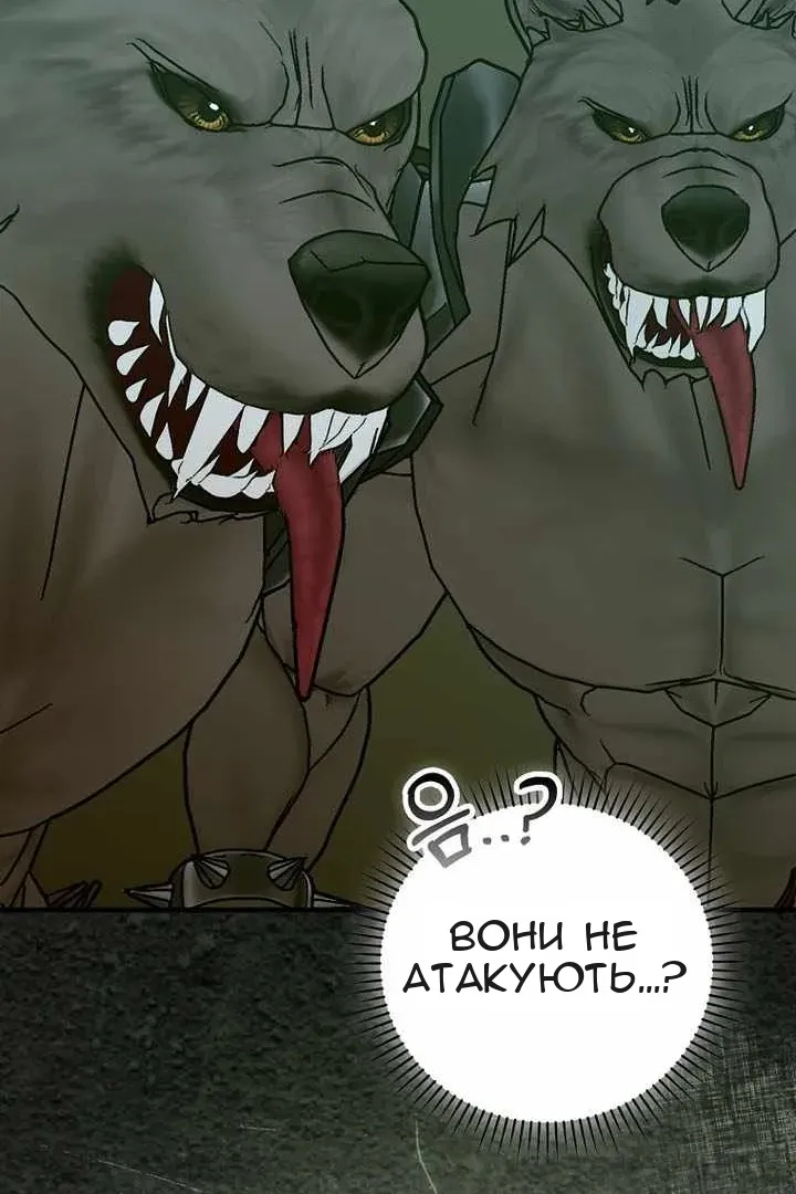 Сторінка 61
