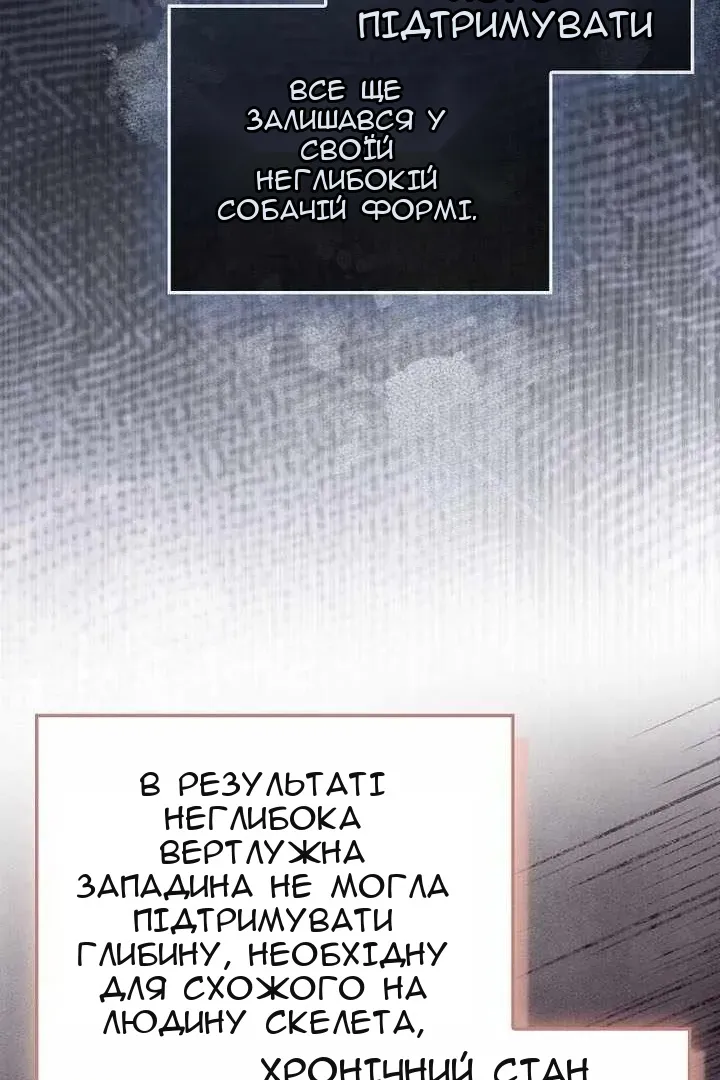 Сторінка 29