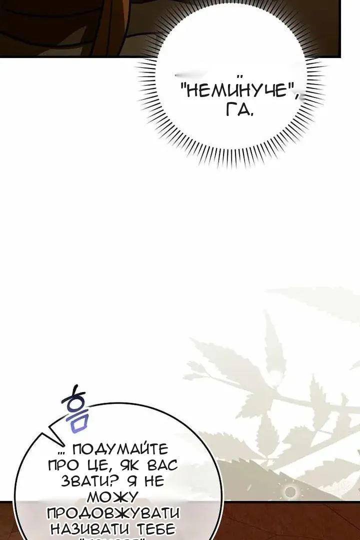 Сторінка 29