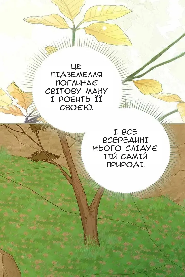 Сторінка 36