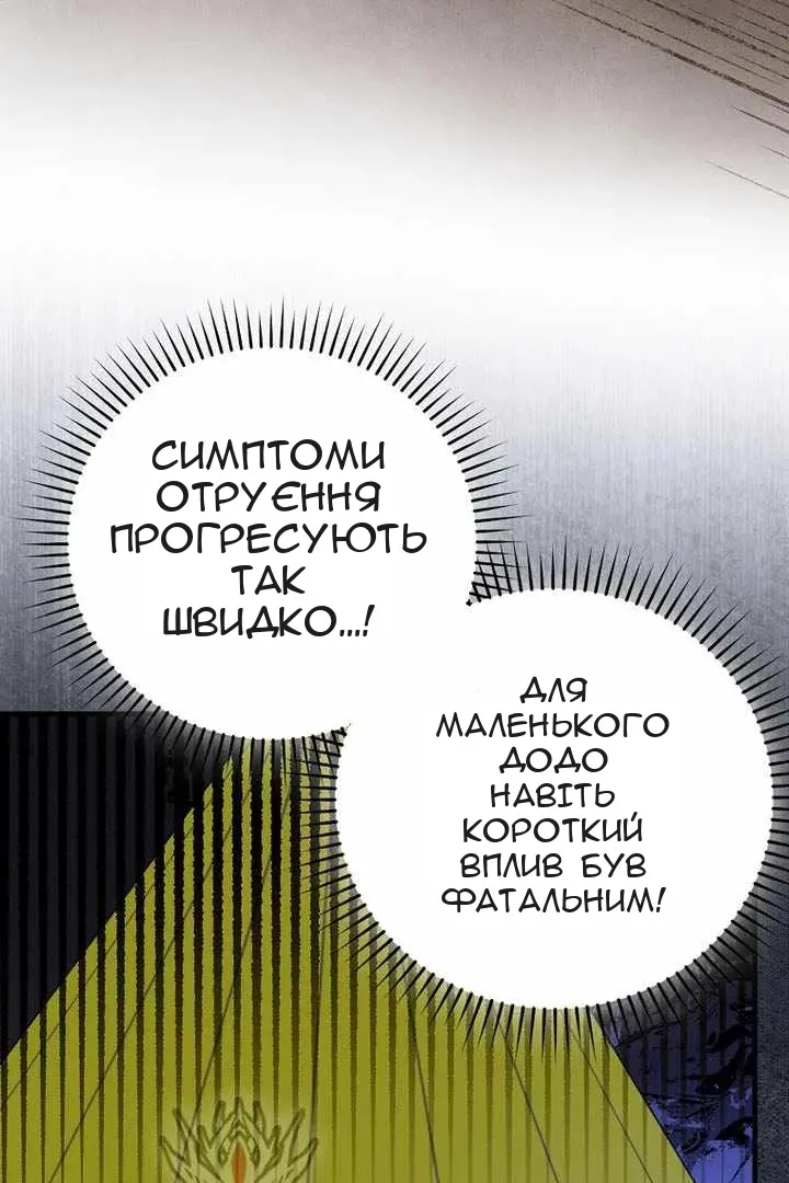 Сторінка 5