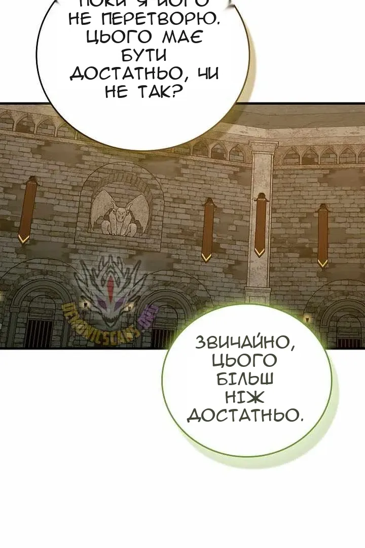 Сторінка 17