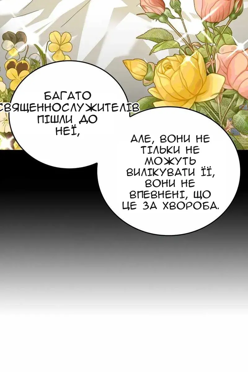 Сторінка 40