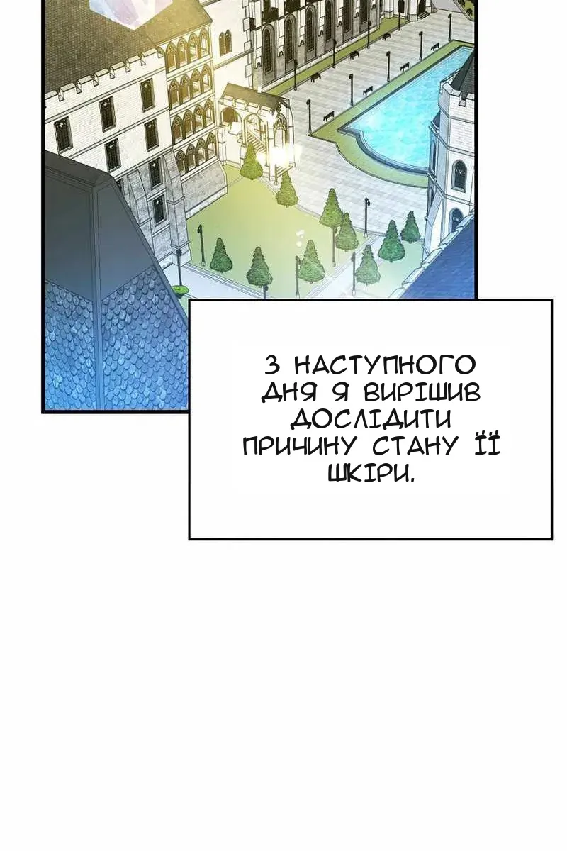 Сторінка 29