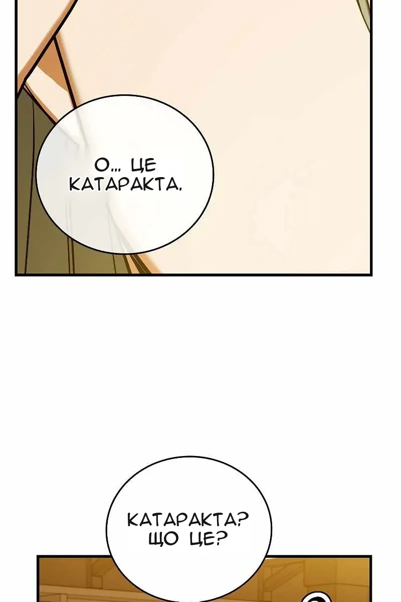 Сторінка 17