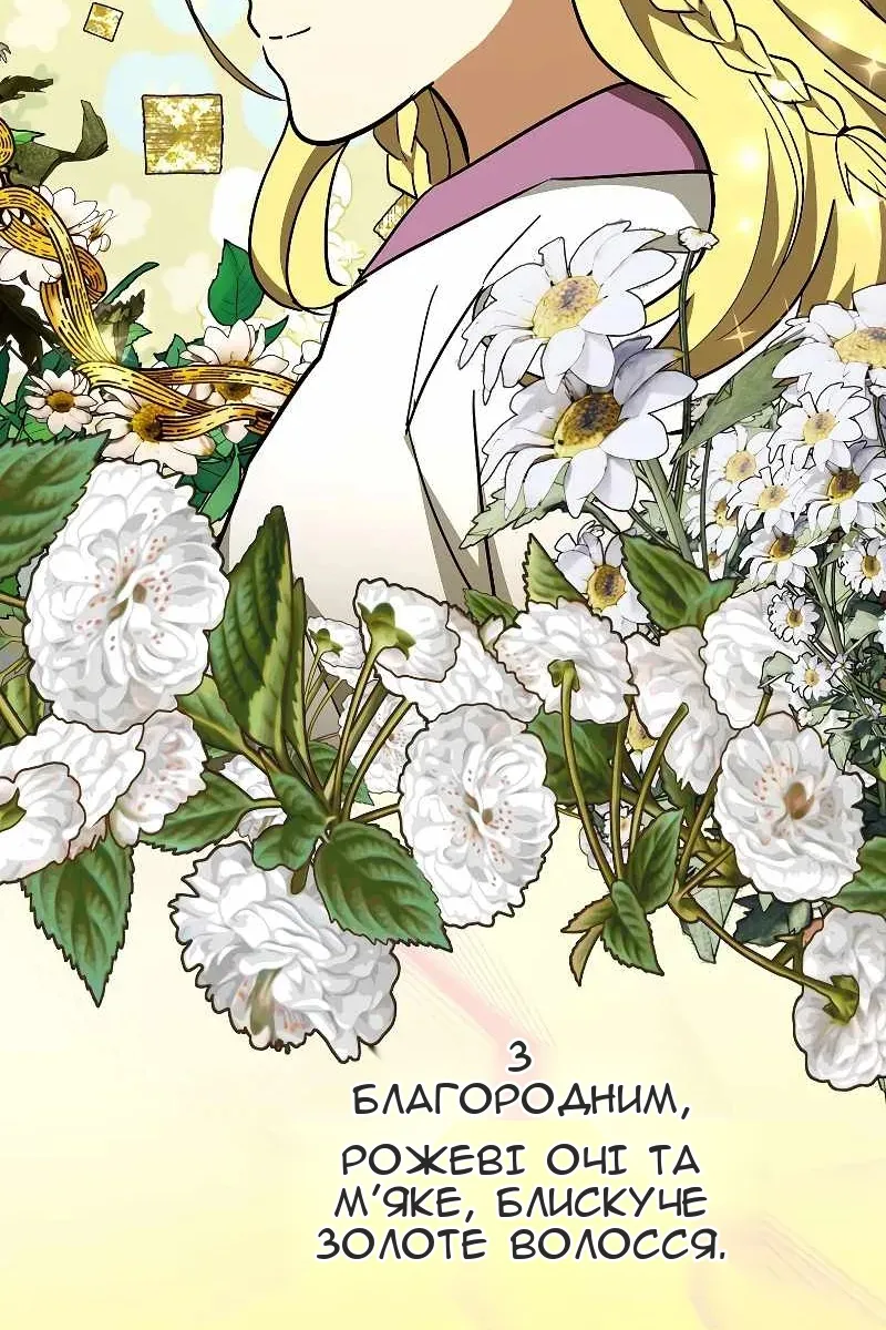 Сторінка 5
