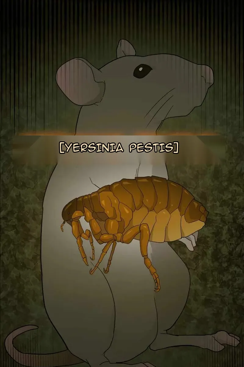 Сторінка 45