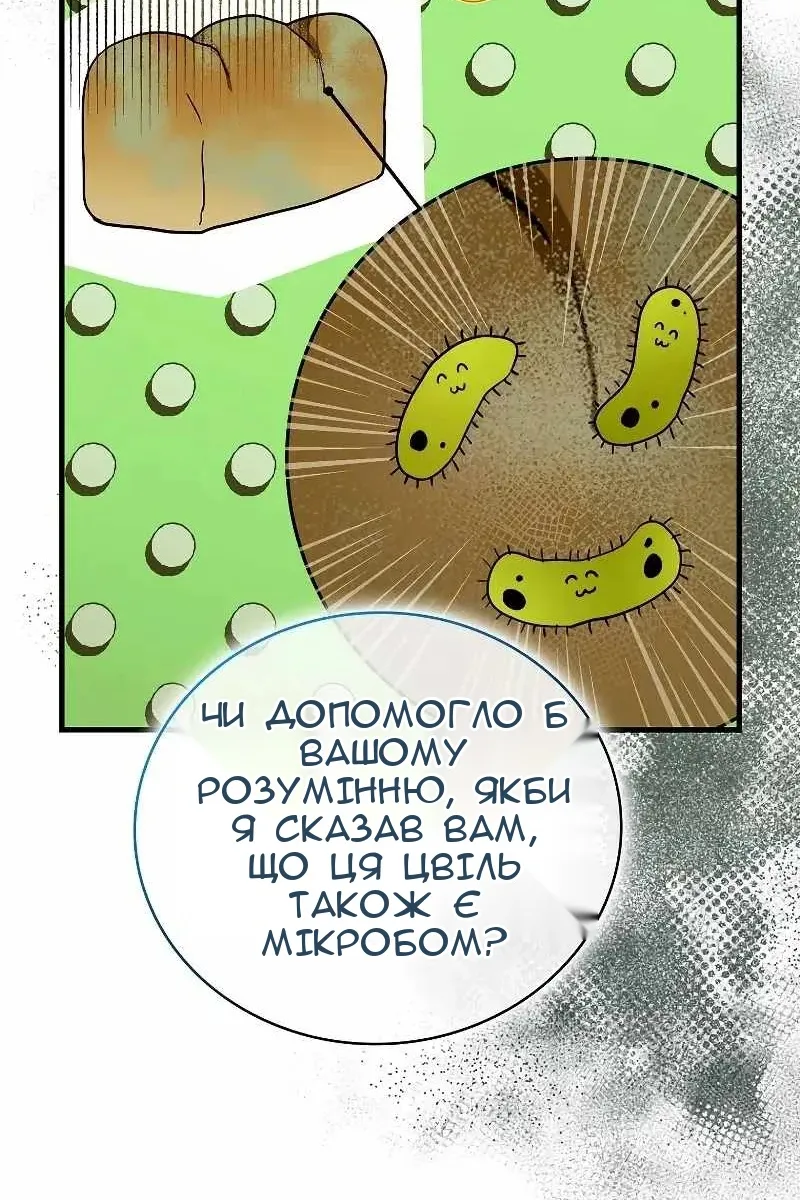 Сторінка 35