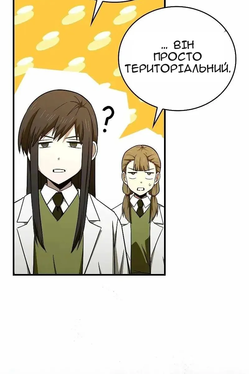 Сторінка 17