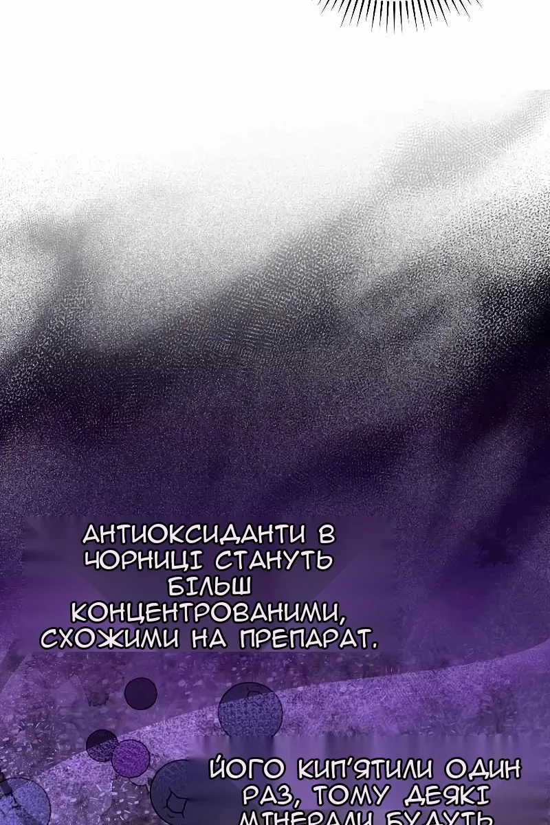 Сторінка 28