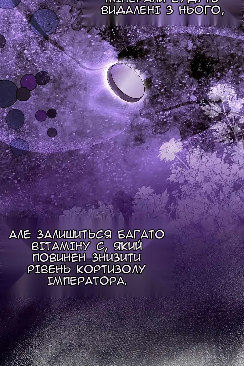 Сторінка 29