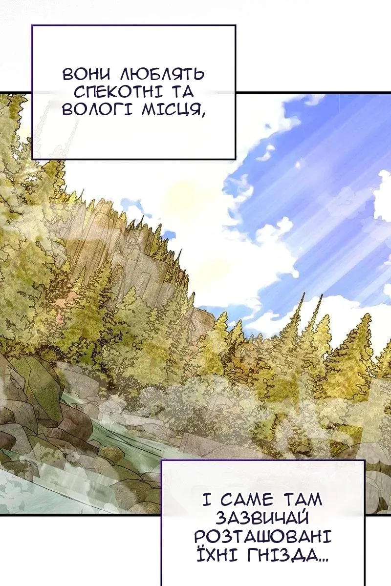 Сторінка 4