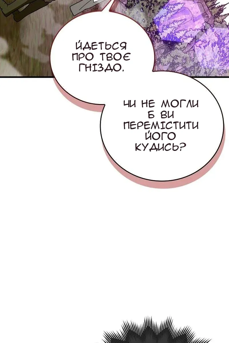 Сторінка 17