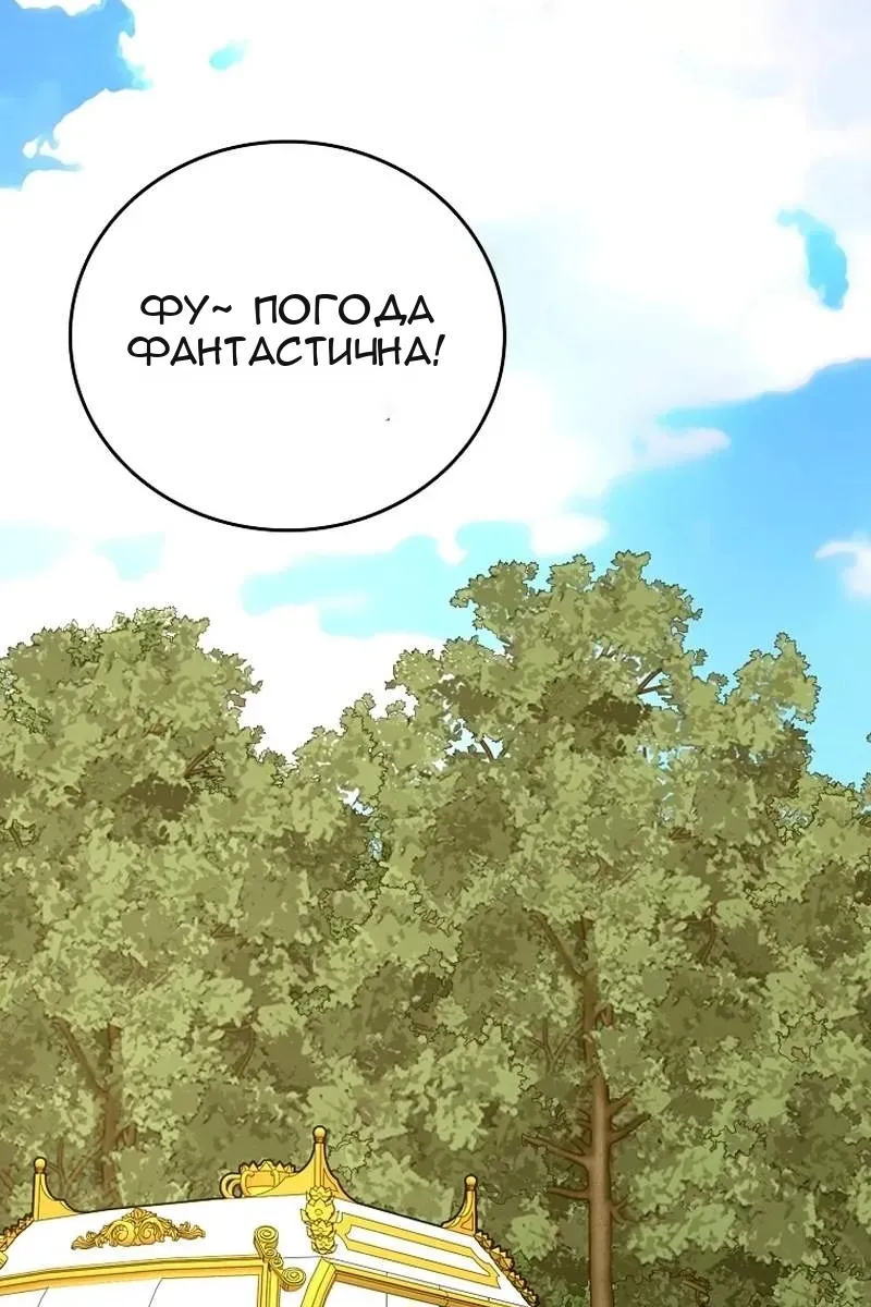 Сторінка 27