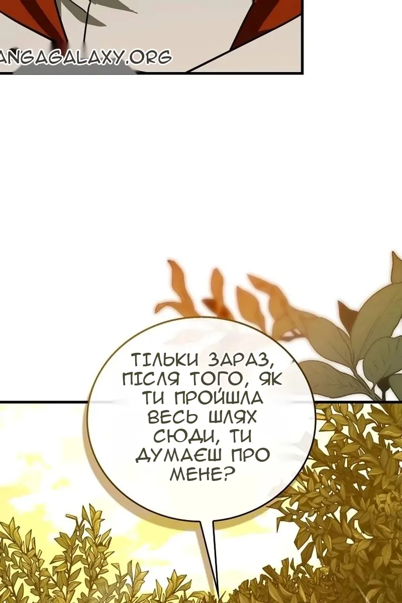 Сторінка 51