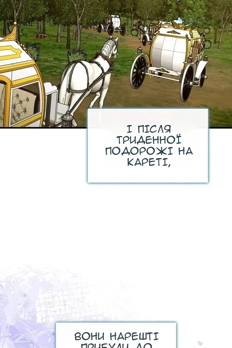 Сторінка 25