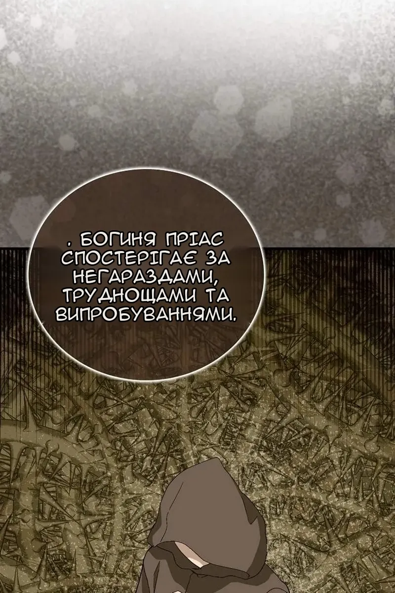 Сторінка 31