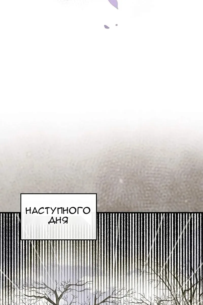 Сторінка 65