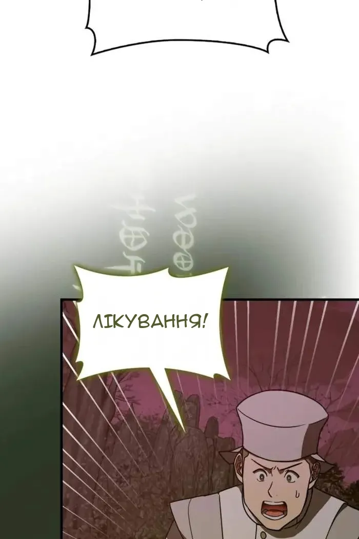 Сторінка 13