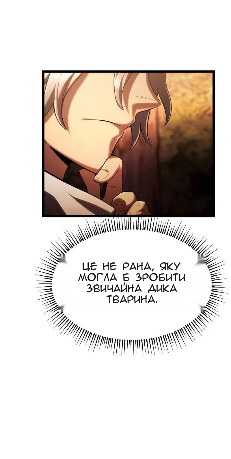 Сторінка 71