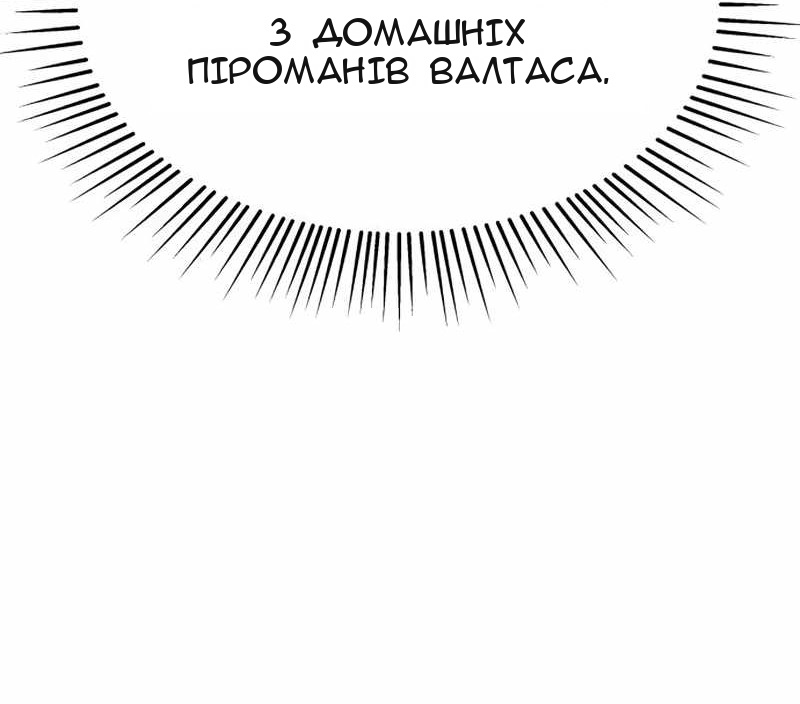 Сторінка 30