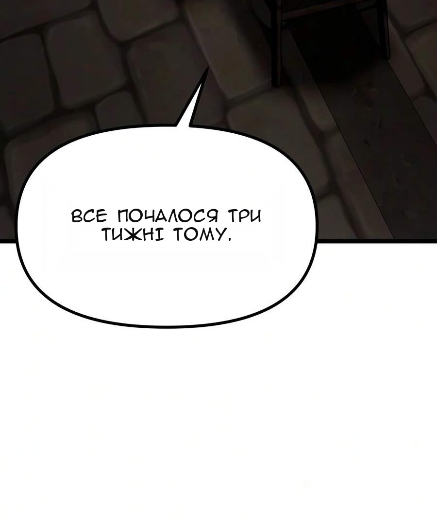 Сторінка 17