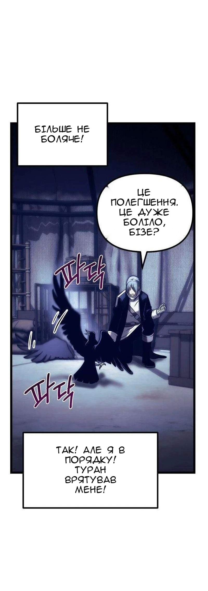 Сторінка 111