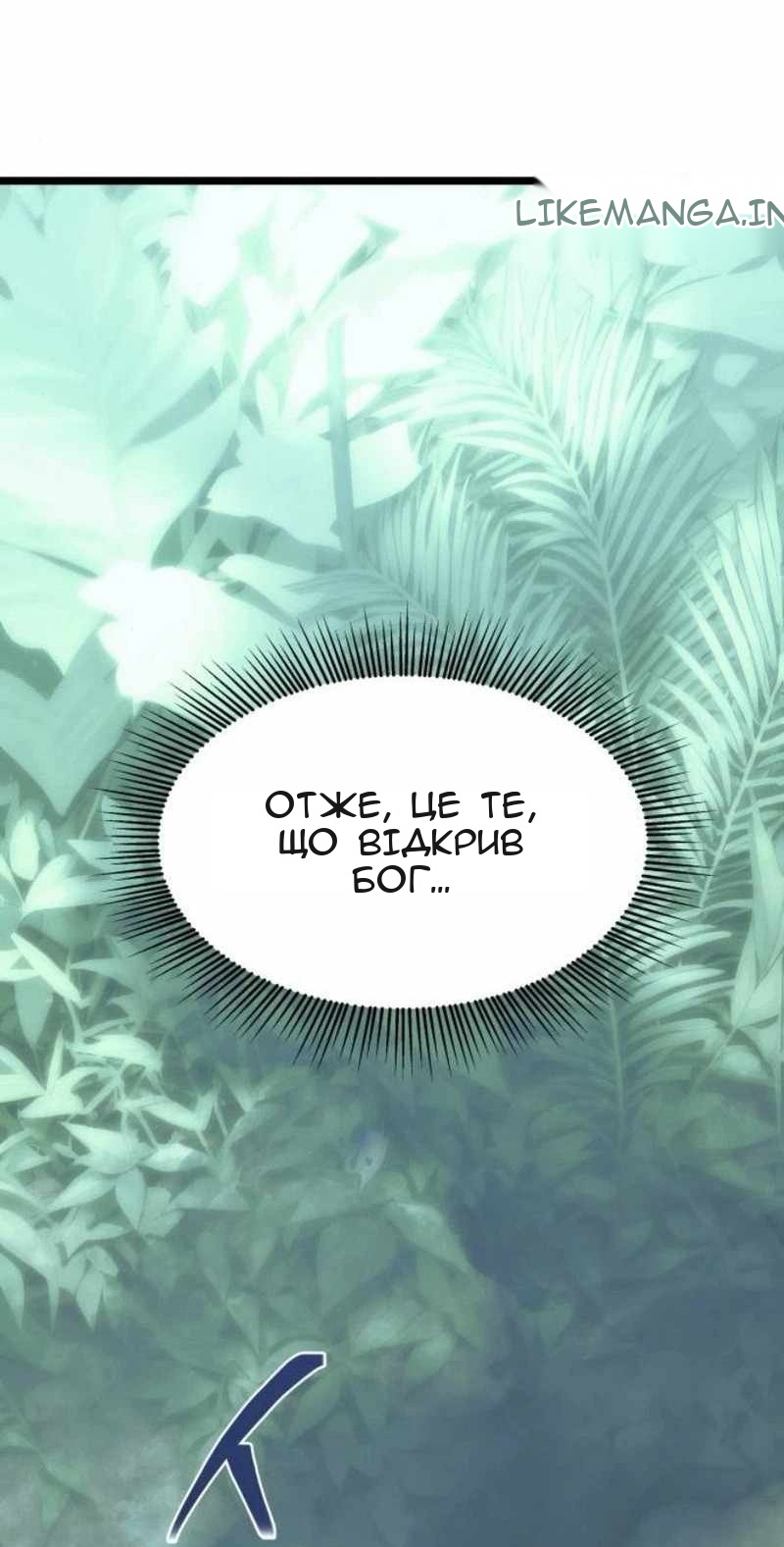 Сторінка 11