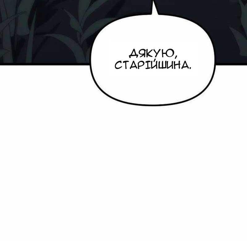 Сторінка 17