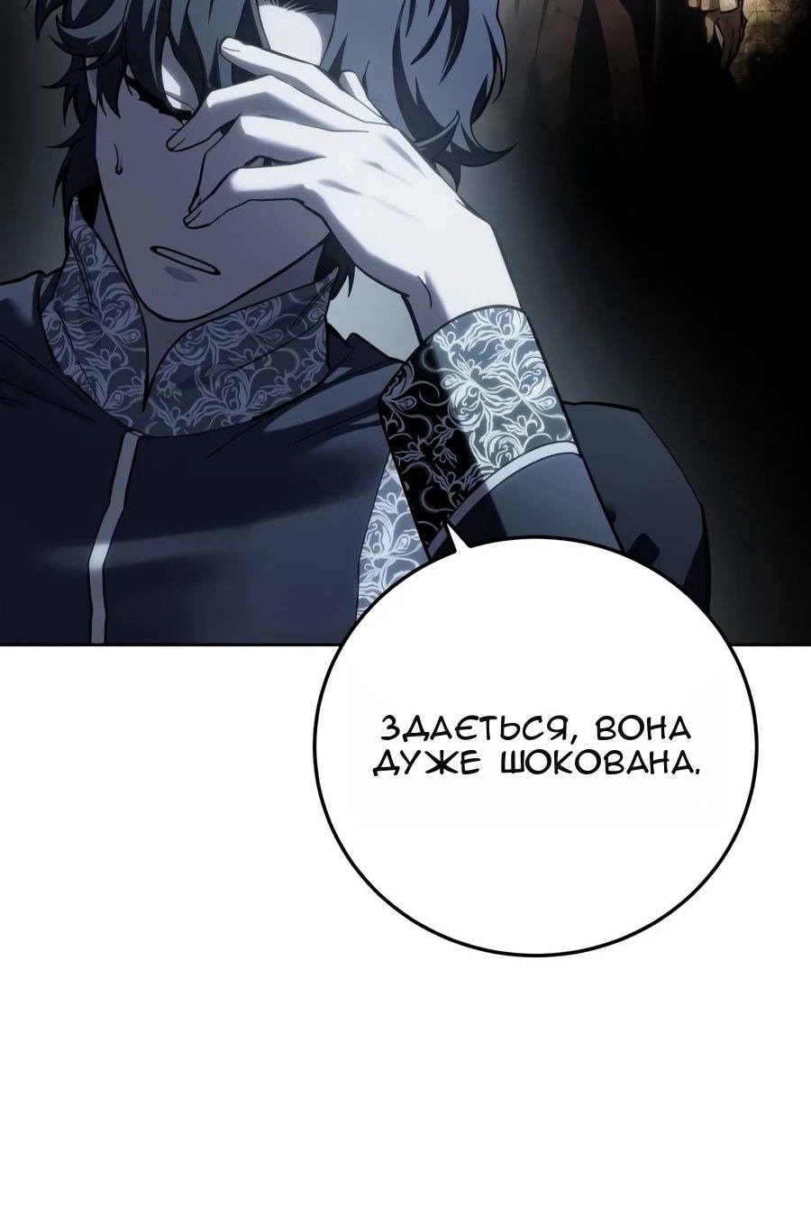 Сторінка 29