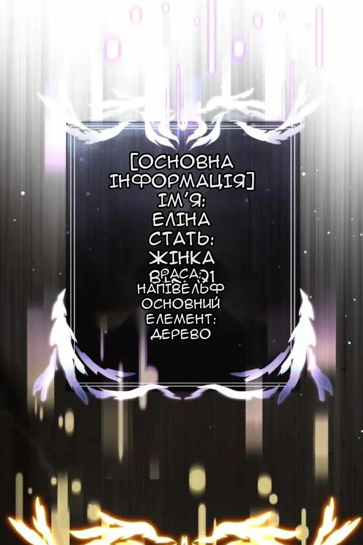 Сторінка 41