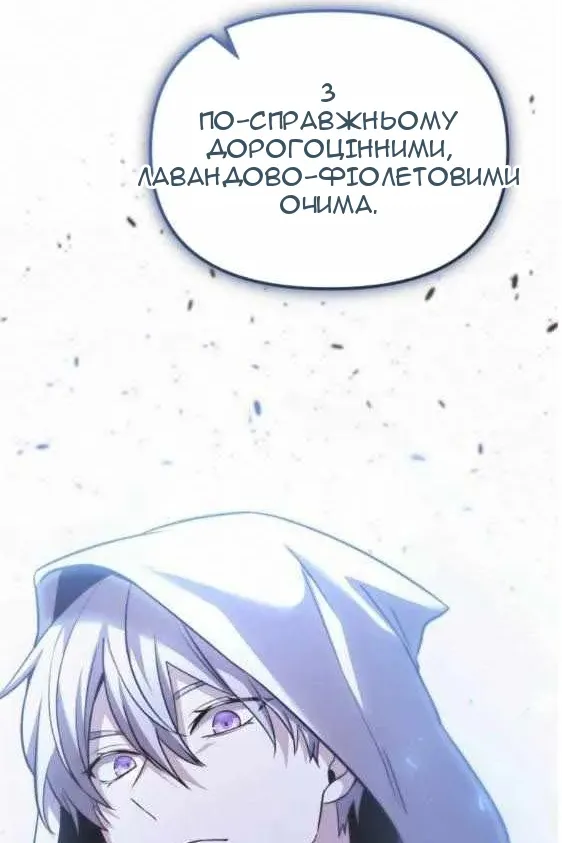 Сторінка 29