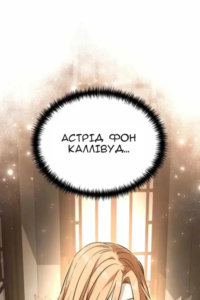 Сторінка 17