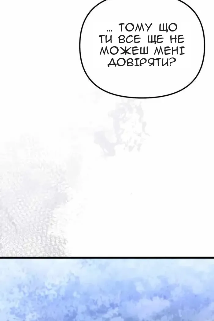 Сторінка 41