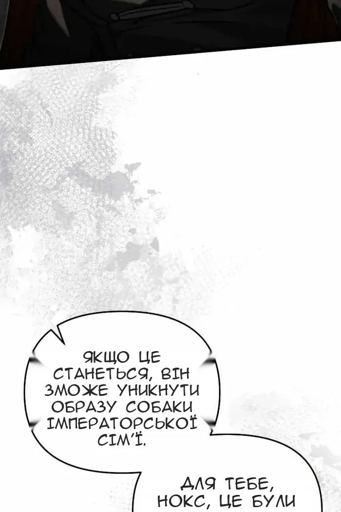 Сторінка 11