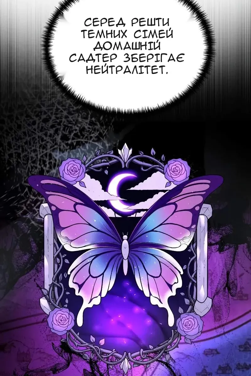 Сторінка 17