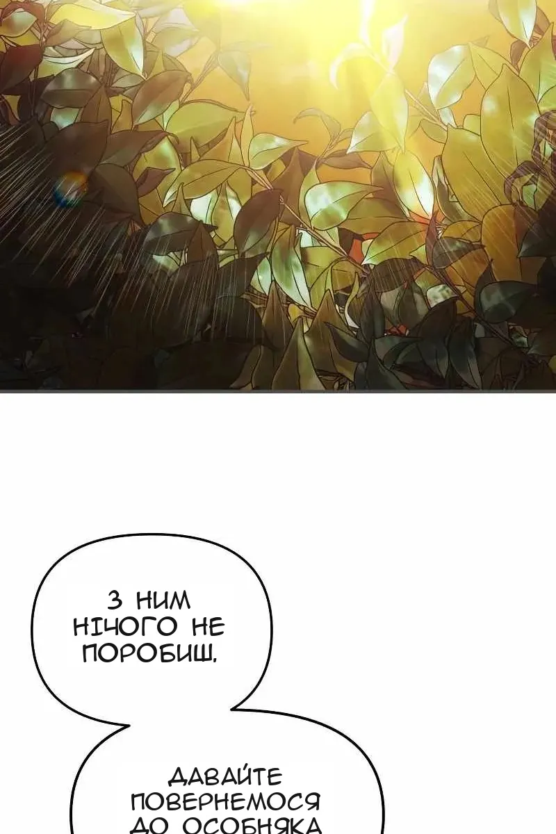 Сторінка 31